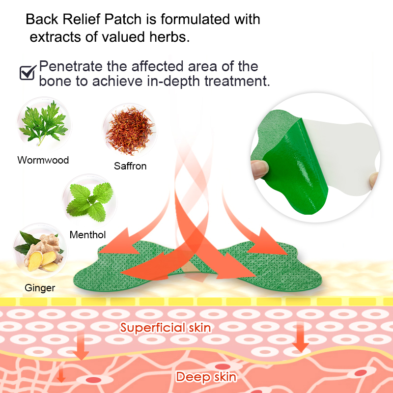 60/6 PCS Lumbar Pain Patch Wor - Herbal Wellness Patches บทวิจารณ์และราคา